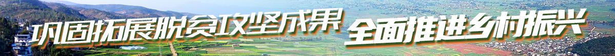 脫貧攻堅